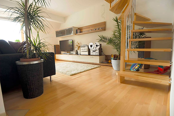 one bed house