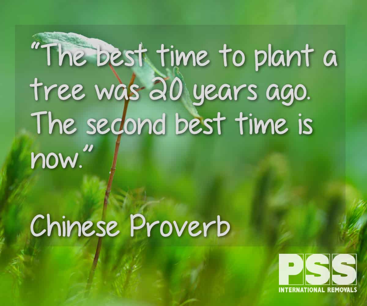 Quote-tree