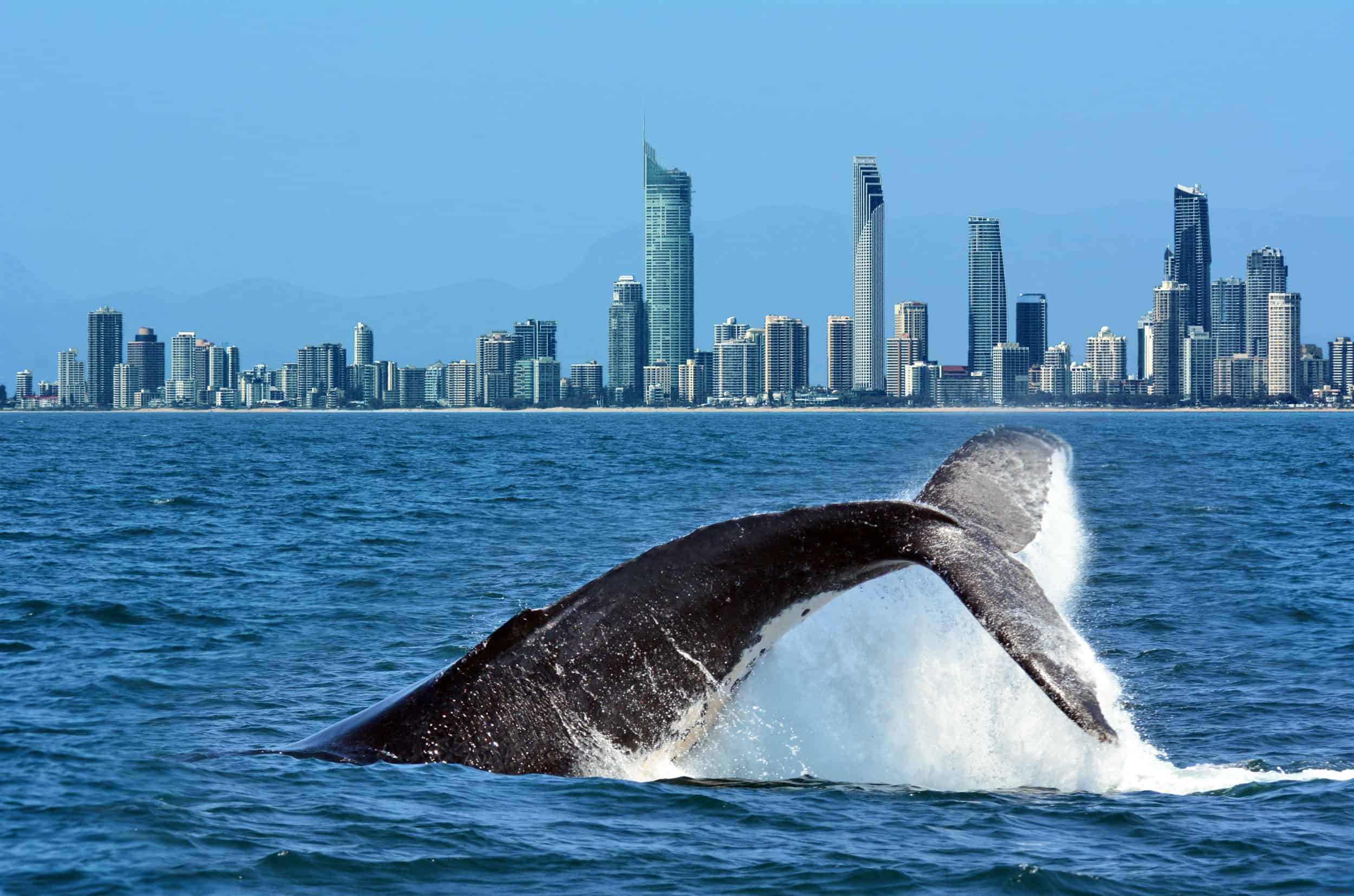 13 Great Reasons to Move to Australia’s Gold Coast