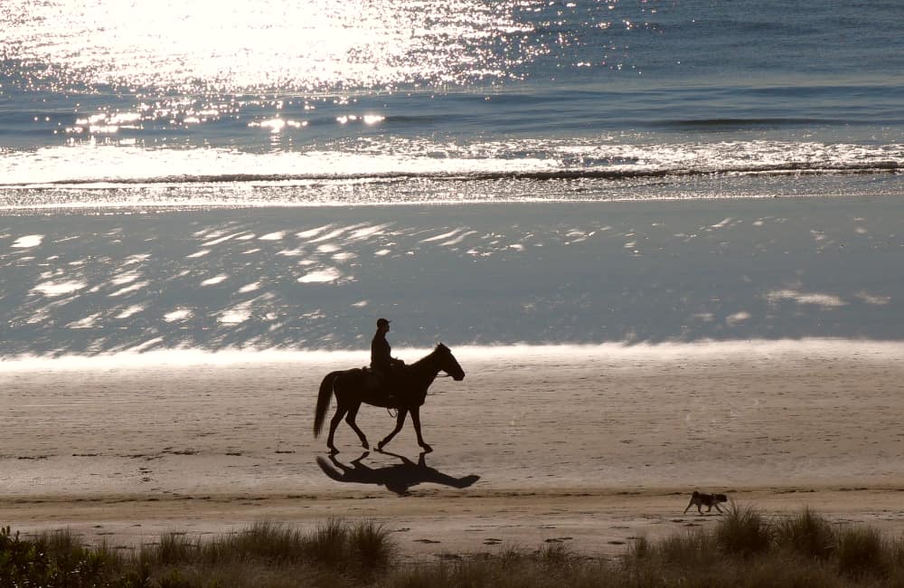 Kaiaua Beach North Island
