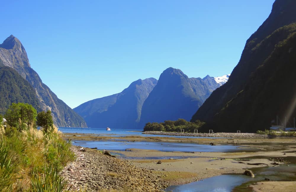 Milford Sound Freedom camping NZ