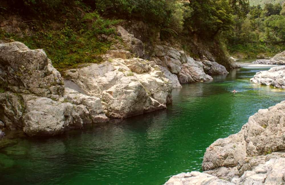 Pelorus River New Zealand
