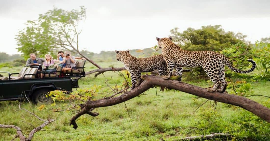 25 Great Reasons To Move To South Africa