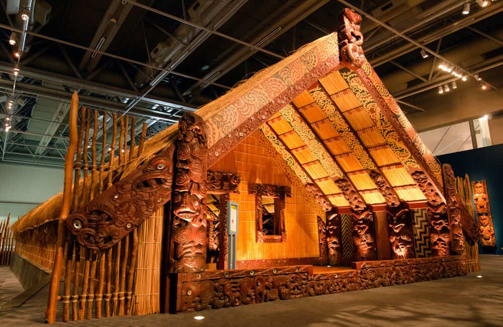 Great reasons to move to Wellington Te Papa Museum
