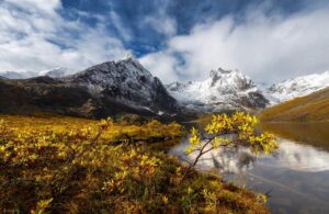 International removals to Northern Canada, including NWT, Yukon and Nunuvut